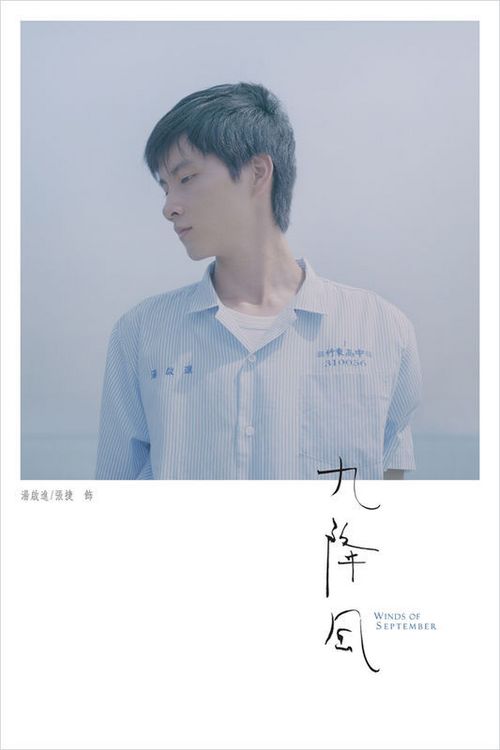 哪里能办假契税还税证